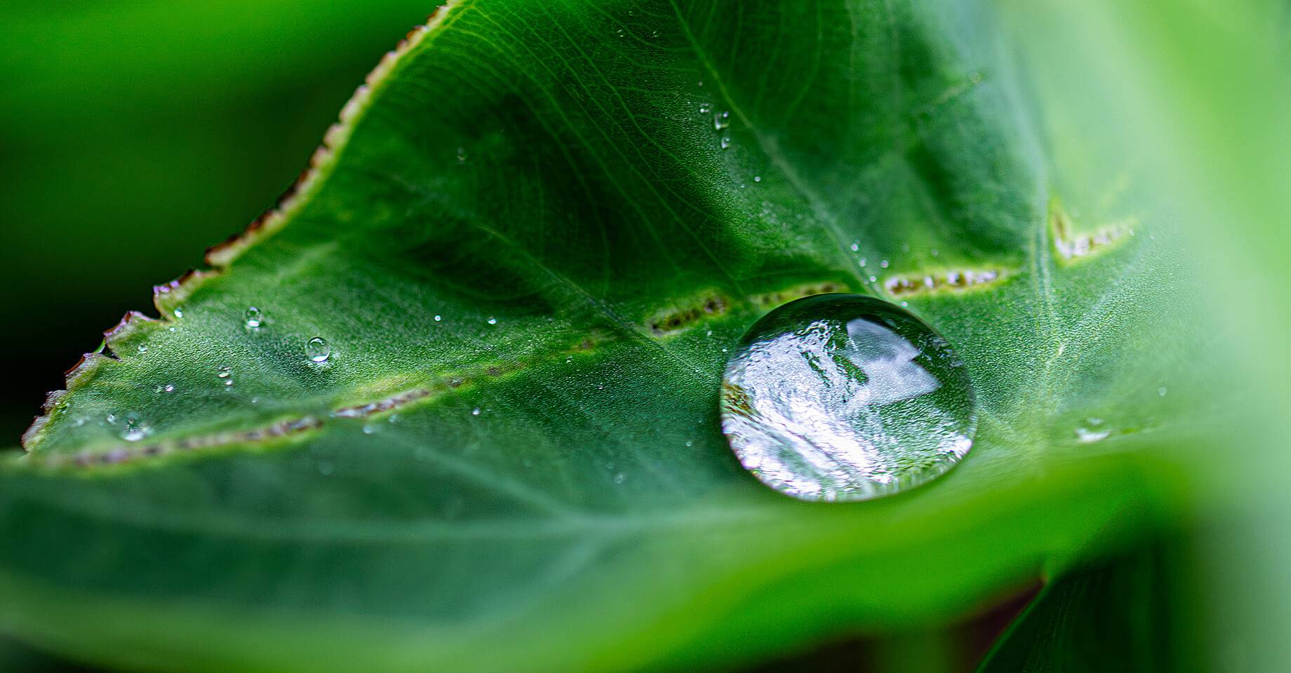 Sustainability-inner-img-02